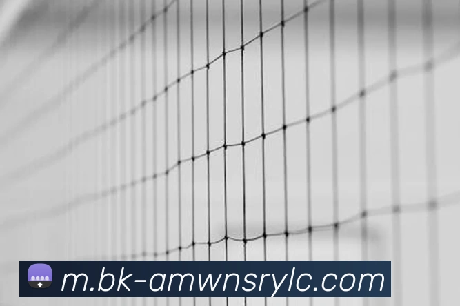 威尼斯人官网APP 高清赛事图